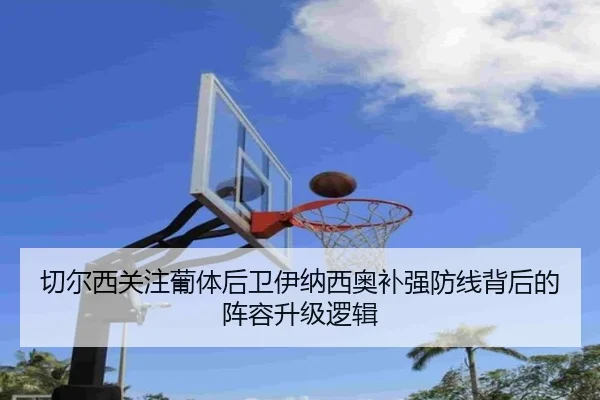 切尔西关注葡体后卫伊纳西奥补强防线背后的阵容升级逻辑