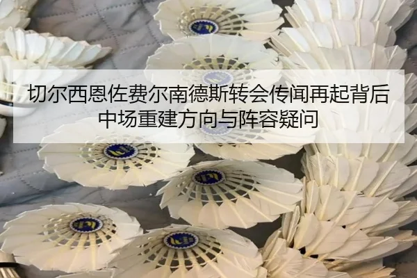 切尔西恩佐费尔南德斯转会传闻再起背后中场重建方向与阵容疑问